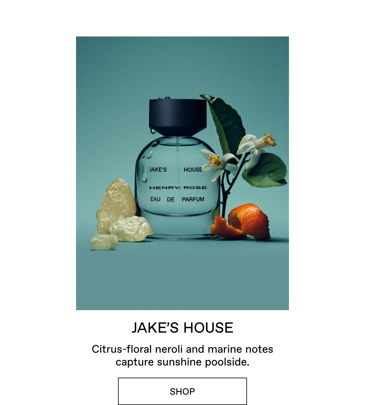 Shop Jake's House