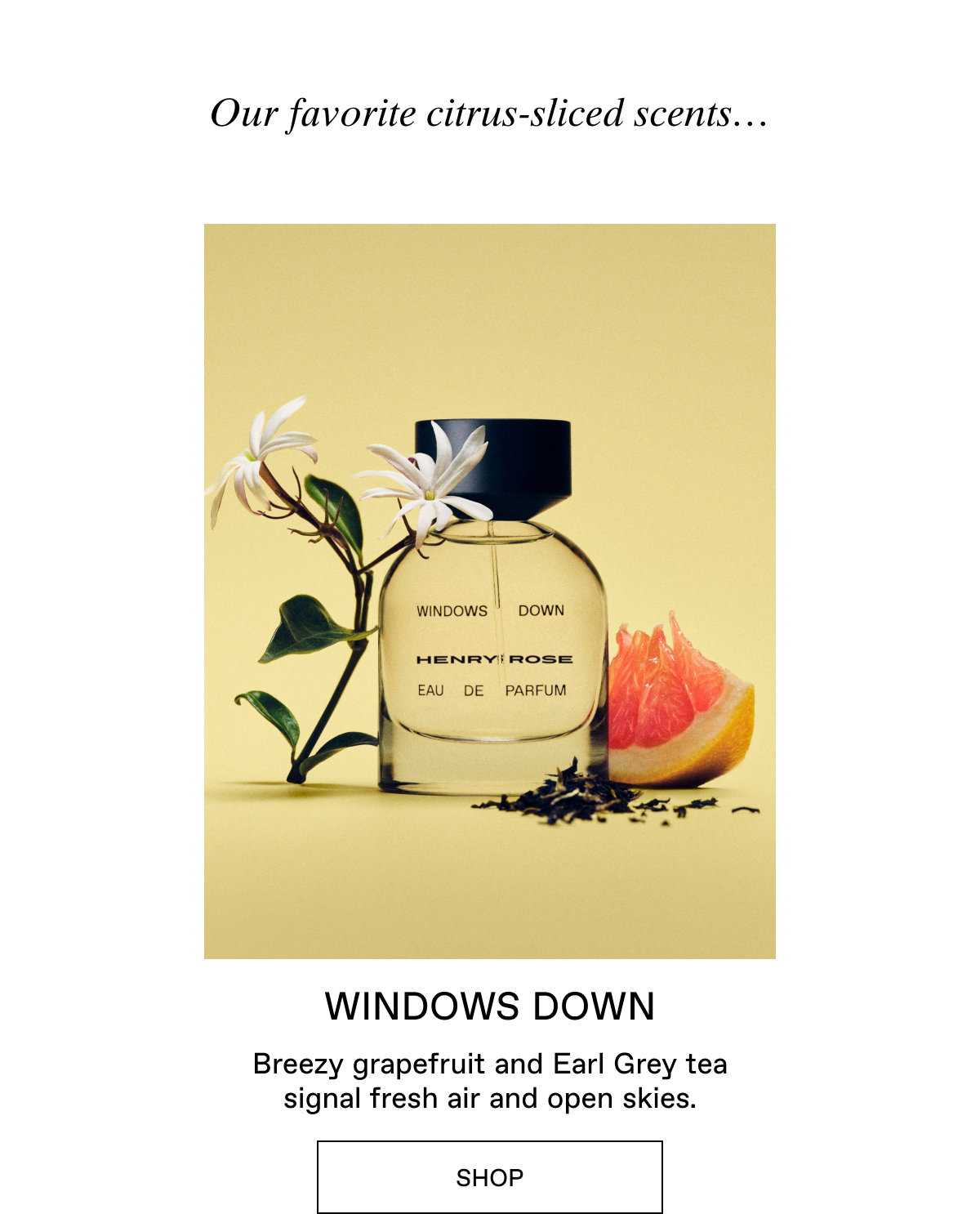 Shop Windows Down