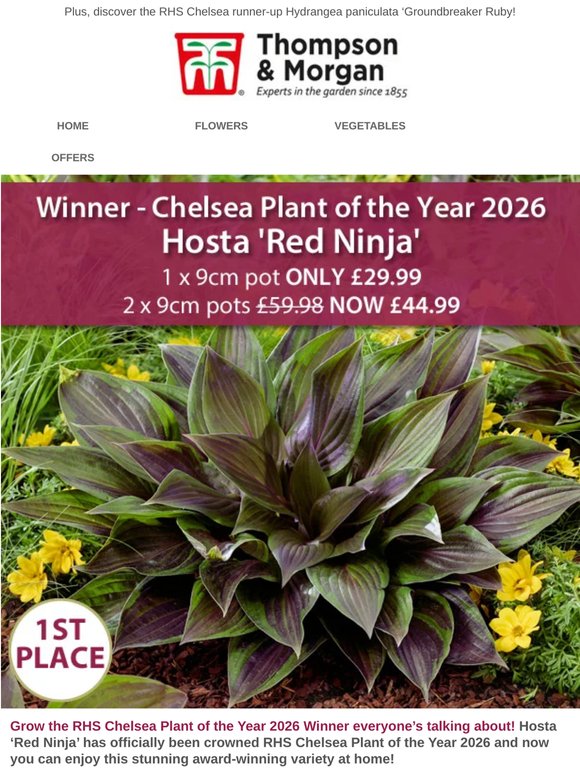 🏆RHS Chelsea 2026 Plant of the Year Winner: Hosta ‘Red Ninja’!