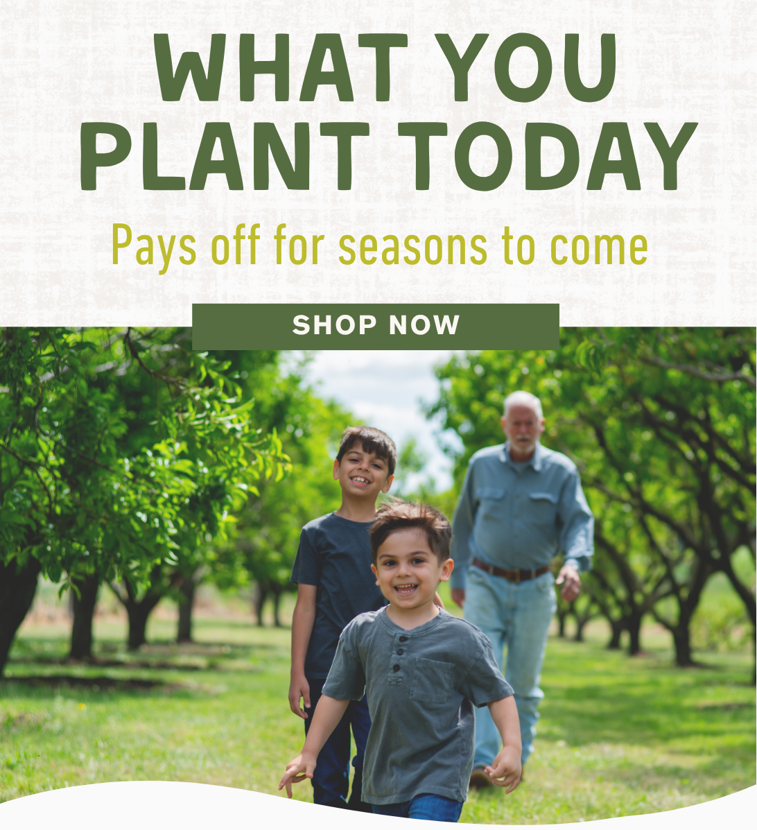 Kids running through an orchard with Grandpa