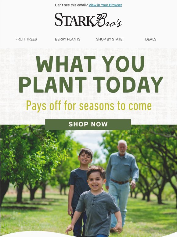 🌳☀️ What You Plant Today Pays Off for Seasons to Come
