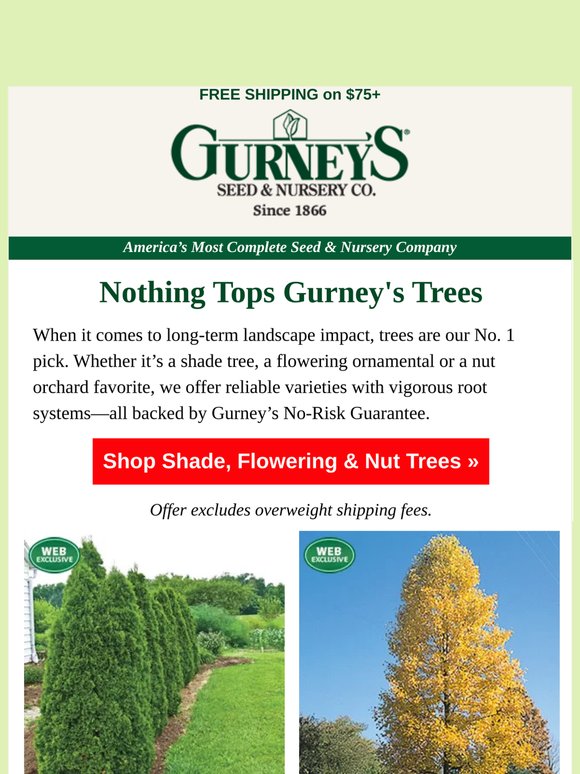 These trees ship FREE when you spend $75...