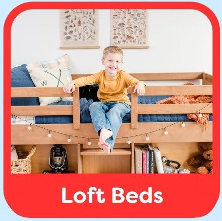 Loft Beds