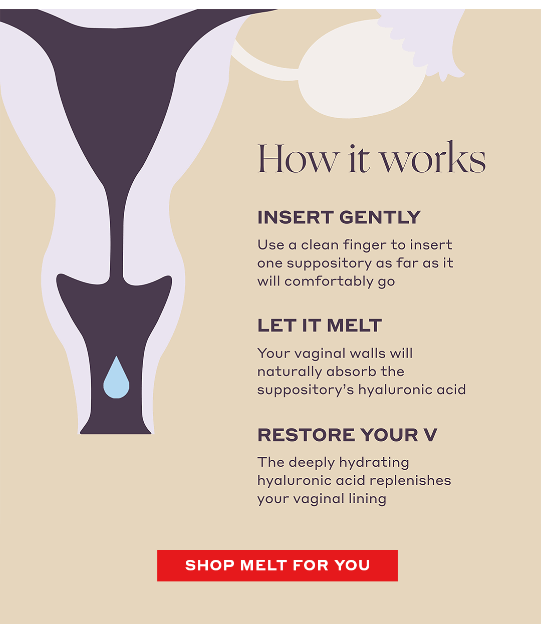HOW IT WORKS   Insert Gently Use a clean finger to insert one suppository as far as it will comfortably go   Let It Melt Your vaginal walls will naturally absorb the suppository’s hyaluronic acid   Restore Your V The deeply hydrating hyaluronic acid replenishes your vaginal lining   [SHOP NOW]