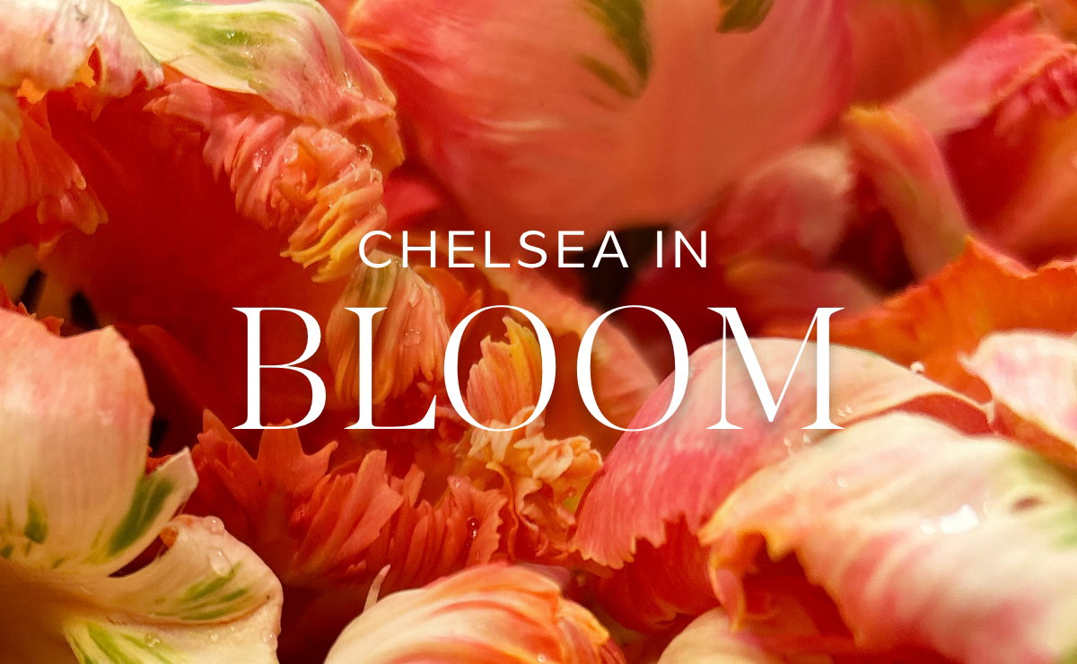 Chelsea in Bloom