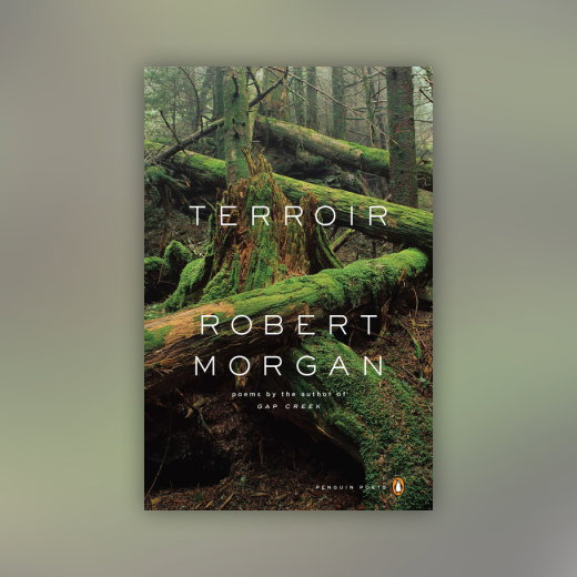 Terroir