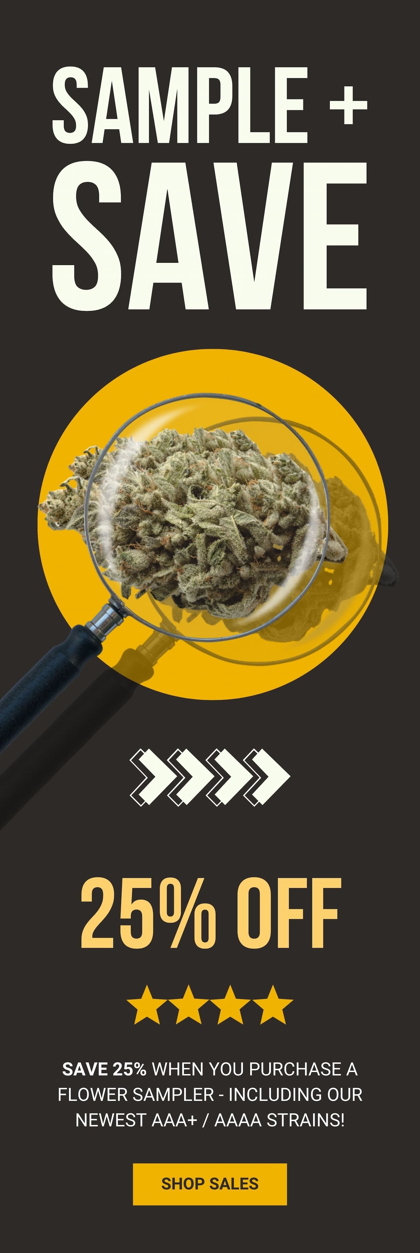 25% off samplers