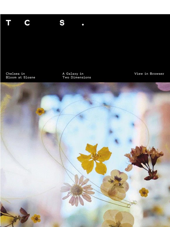 Chelsea in Bloom at Sloane