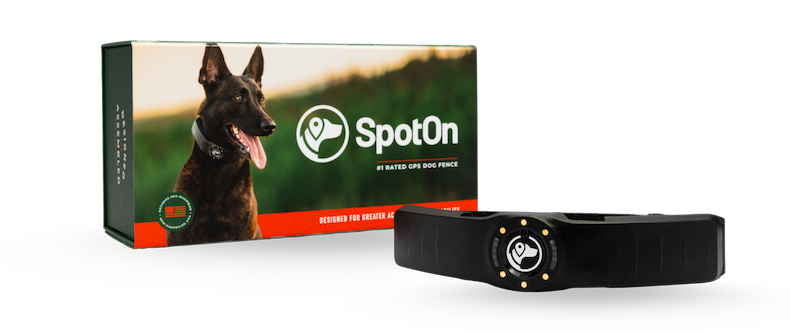 SpotOn collar and box.