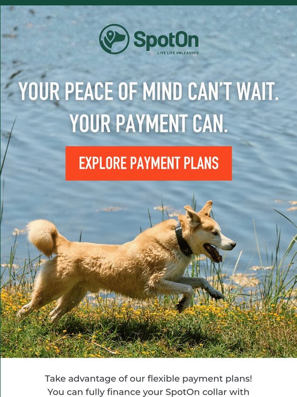 Why wait on freedom?