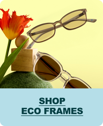 Shop Eco Frames