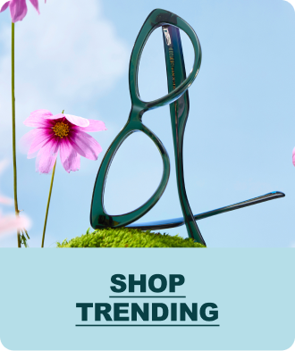 Shop Trending