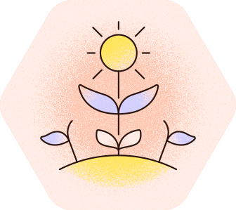 Kategorie „Sonne & Schutz“ mit Sonnen- und Pflanzen-Icon. Button: „Jetzt entdecken“.