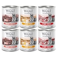Wolf of Wilderness Senior 