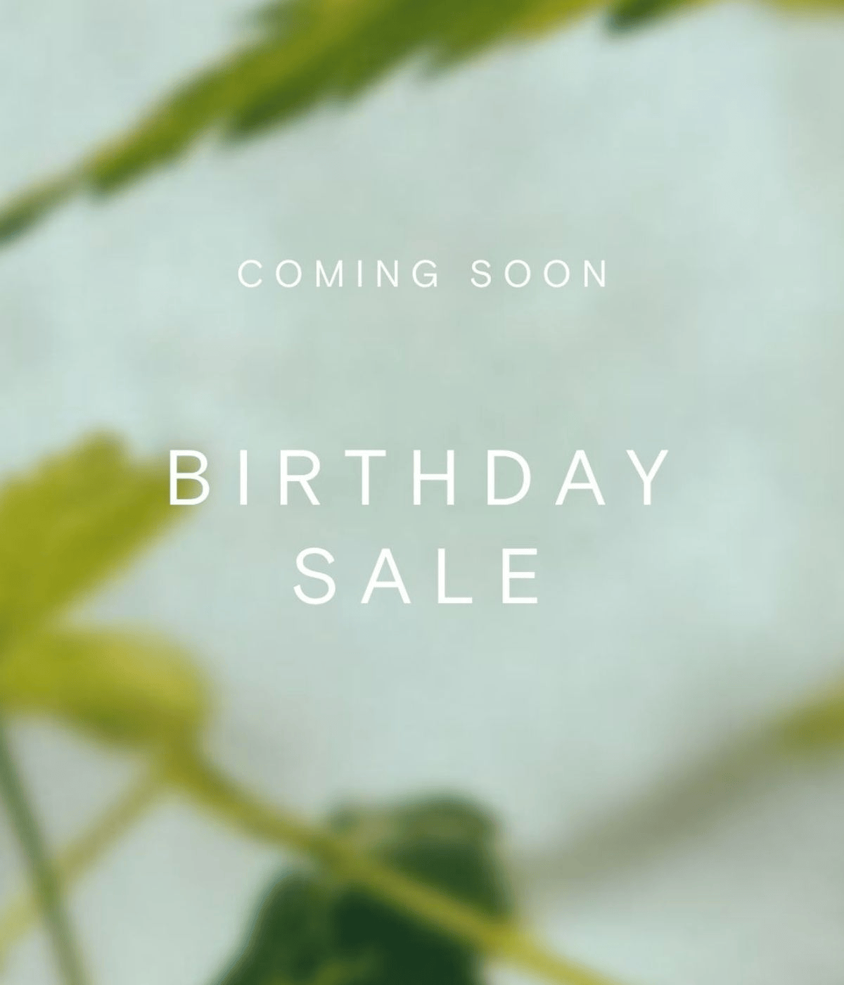 BIRTHDAY SALE