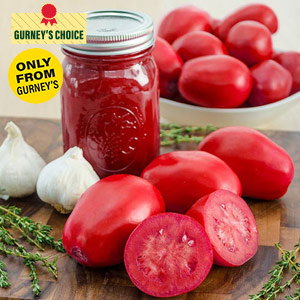Easy Sauce™ Hybrid Tomato