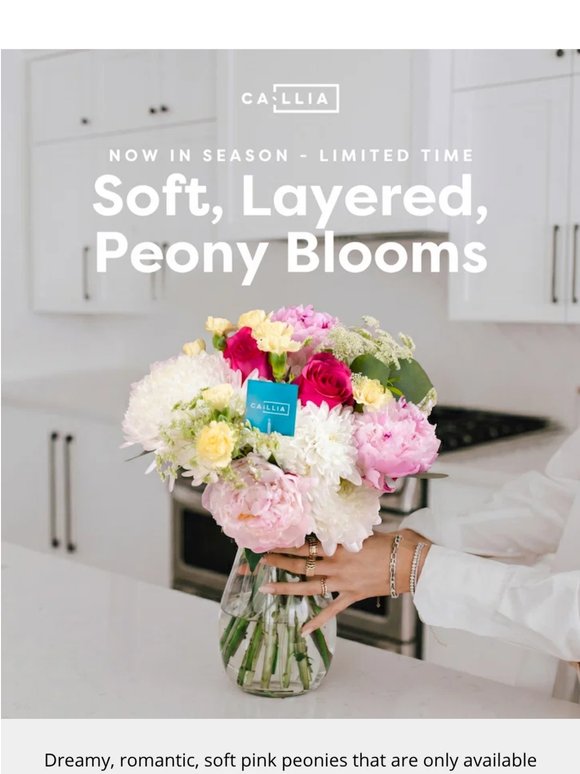 Meet The Peony – limited time only 🌸