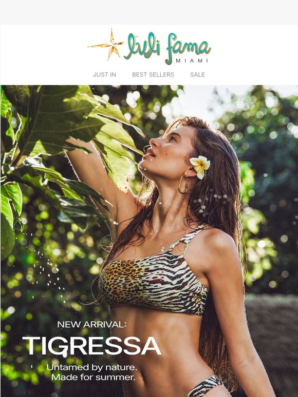 Meet Tigressa 🐆🌴