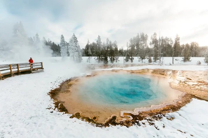 Yellowstone Winter Escape - Small Group