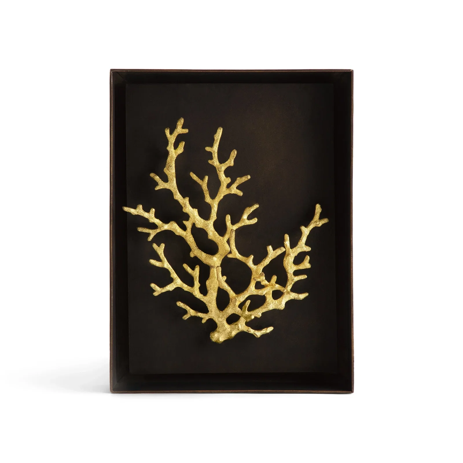 Image of Ocean Coral Shadow Box - Gold