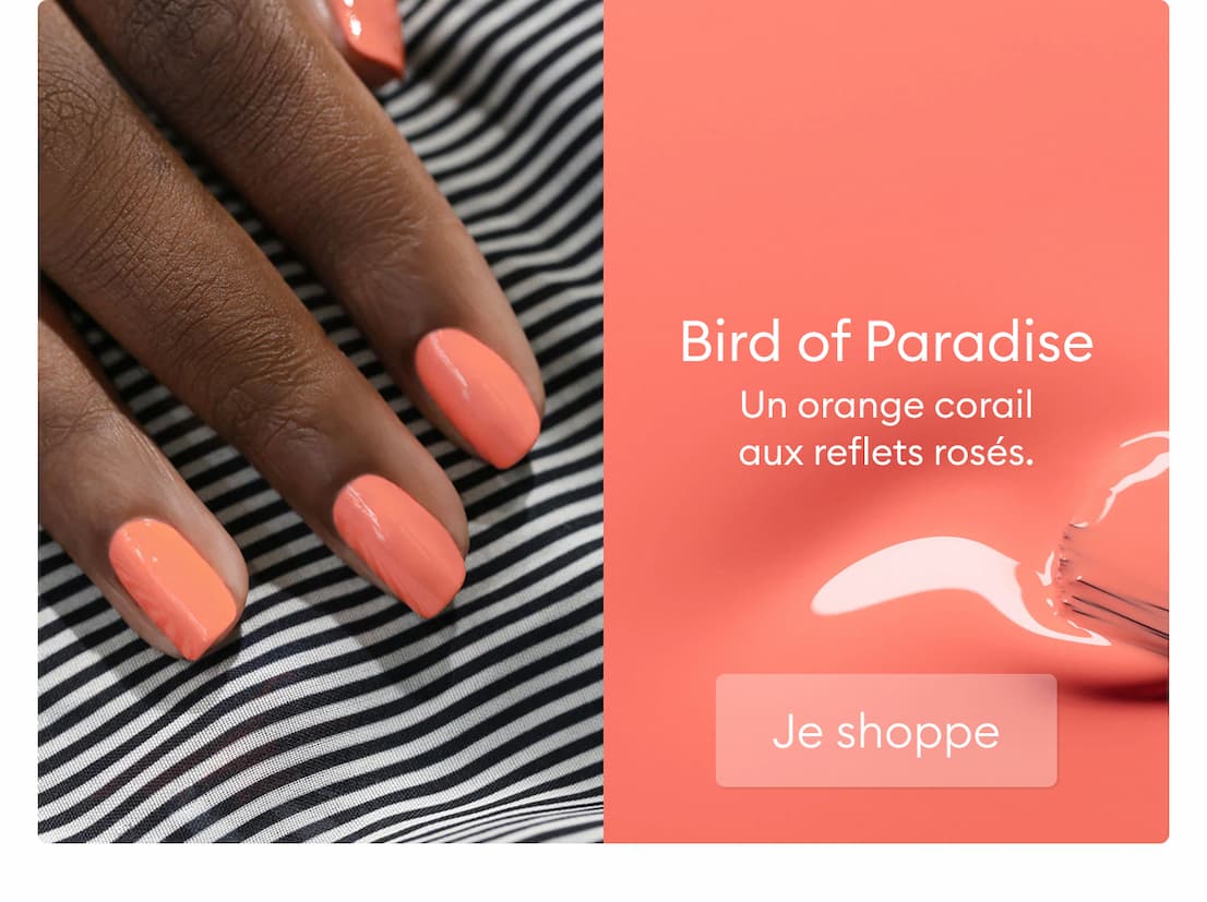 Birds of Paradise