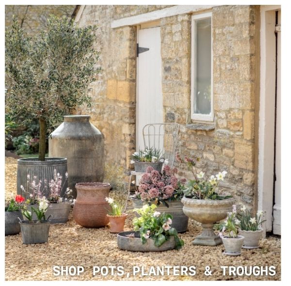 Shop Pots, Planters & Troughs