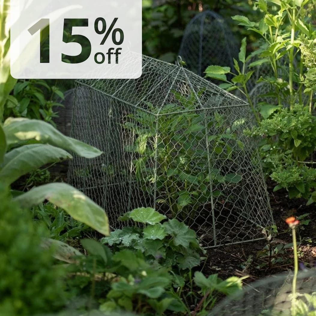 Cloches