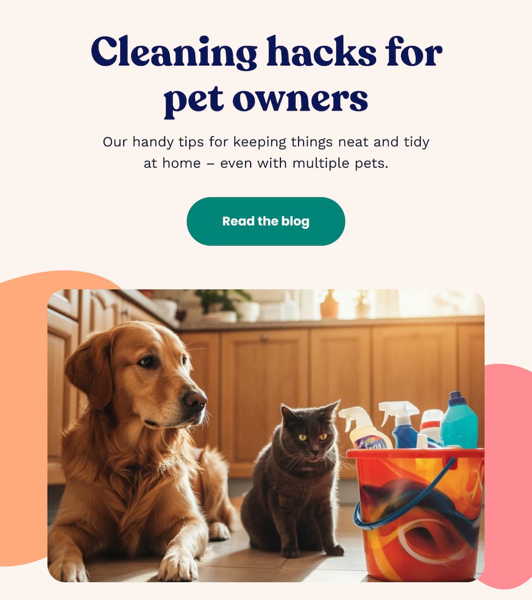 Cleaning hacks for pet owners