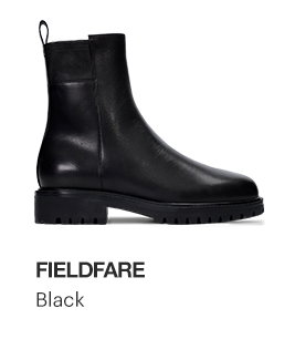 Fieldfare, Black