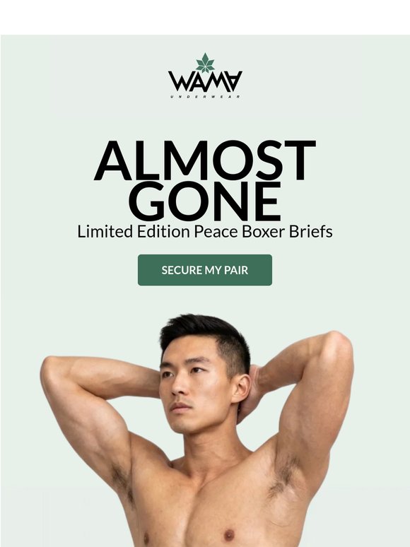 Limited Edition Boxer Briefs – Almost Gone! 🚨