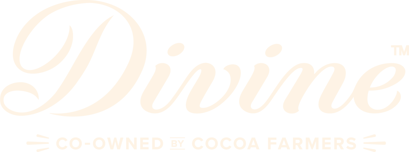 Divine Chocolate Logo
