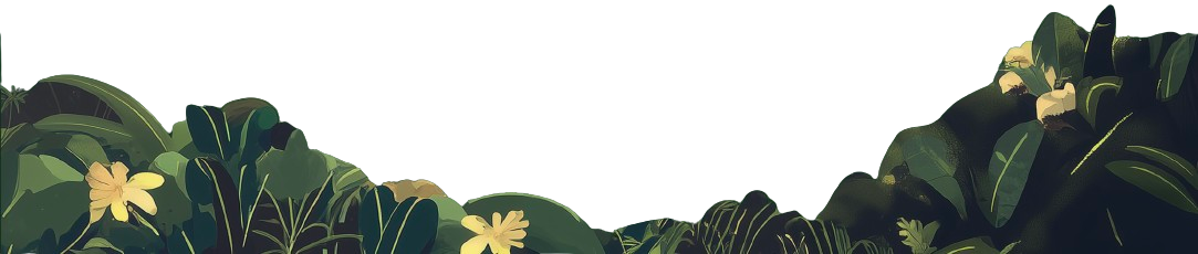 Footer Illustration | Divine Chocolate