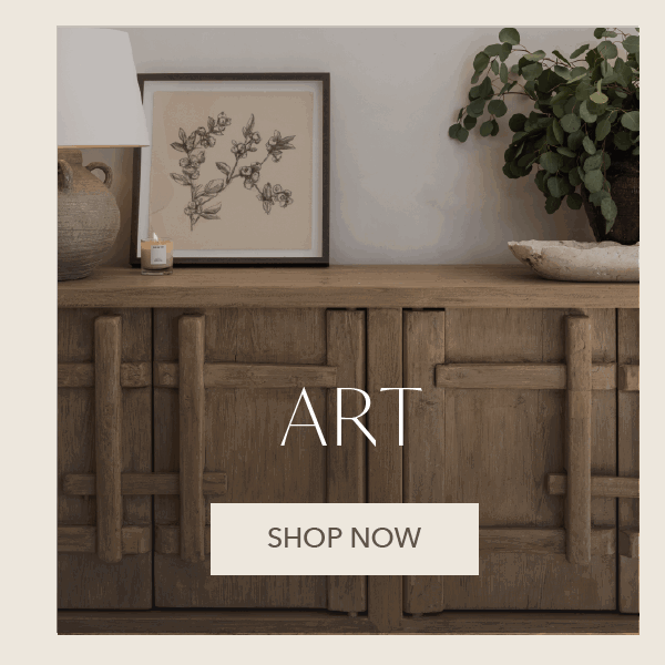 Art: Shop Now