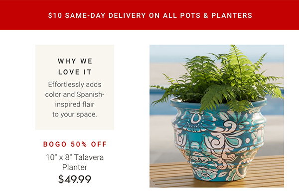 BOGO 50% OFF 10" x 8" Talavera Planter