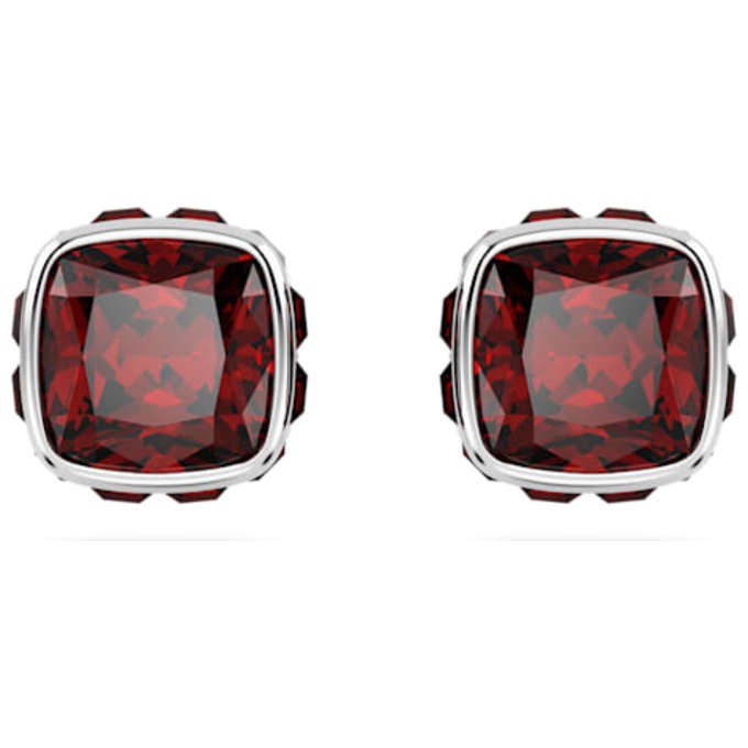 Swarovski Birthstone: January Women's Earrings 5660798
