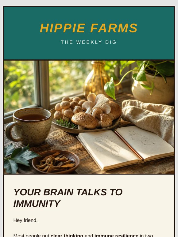 Your brain talks to immunity