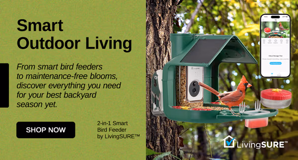 Smart Outdoor Living