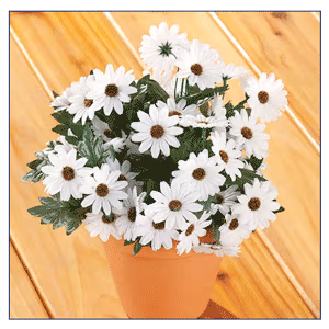 Artificial Daisy Bush by OakRidge™