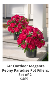 Product Recommendation 3