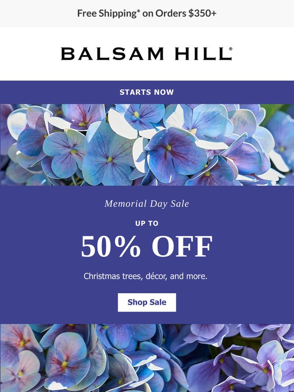 Summer Savings Start Here