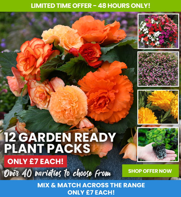 Garden Ready Mix & Match