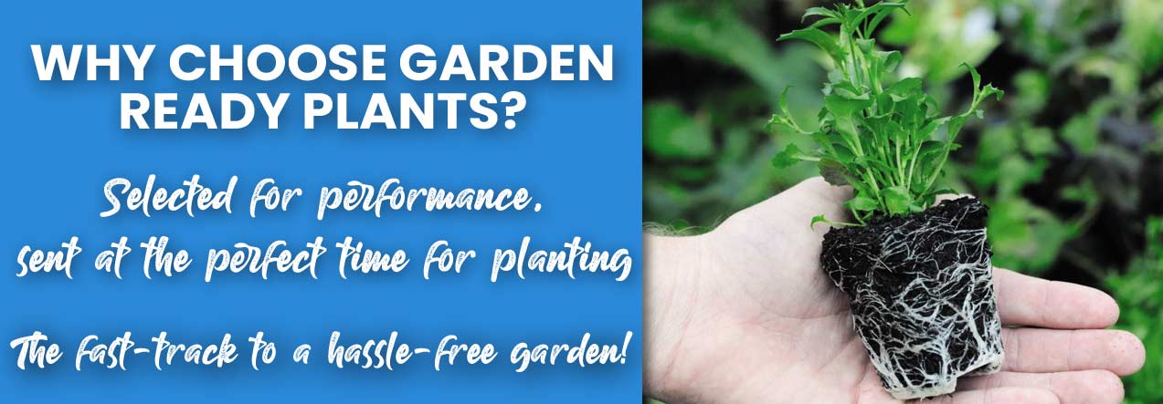 Why Choose Garden Ready 