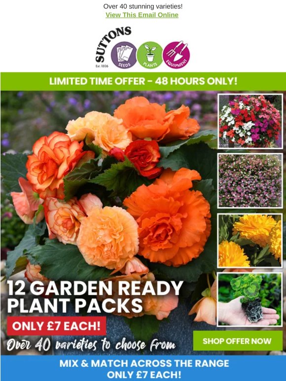 Garden Ready Plant Packs ONLY £7 A Pack! Mix & Match Special