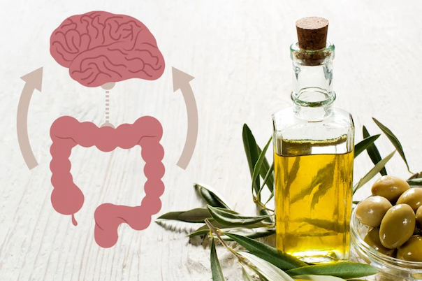 Supporting the Gut-Brain Axis with Extra Virgin Olive Oil, NeuroReserve Whole Minded