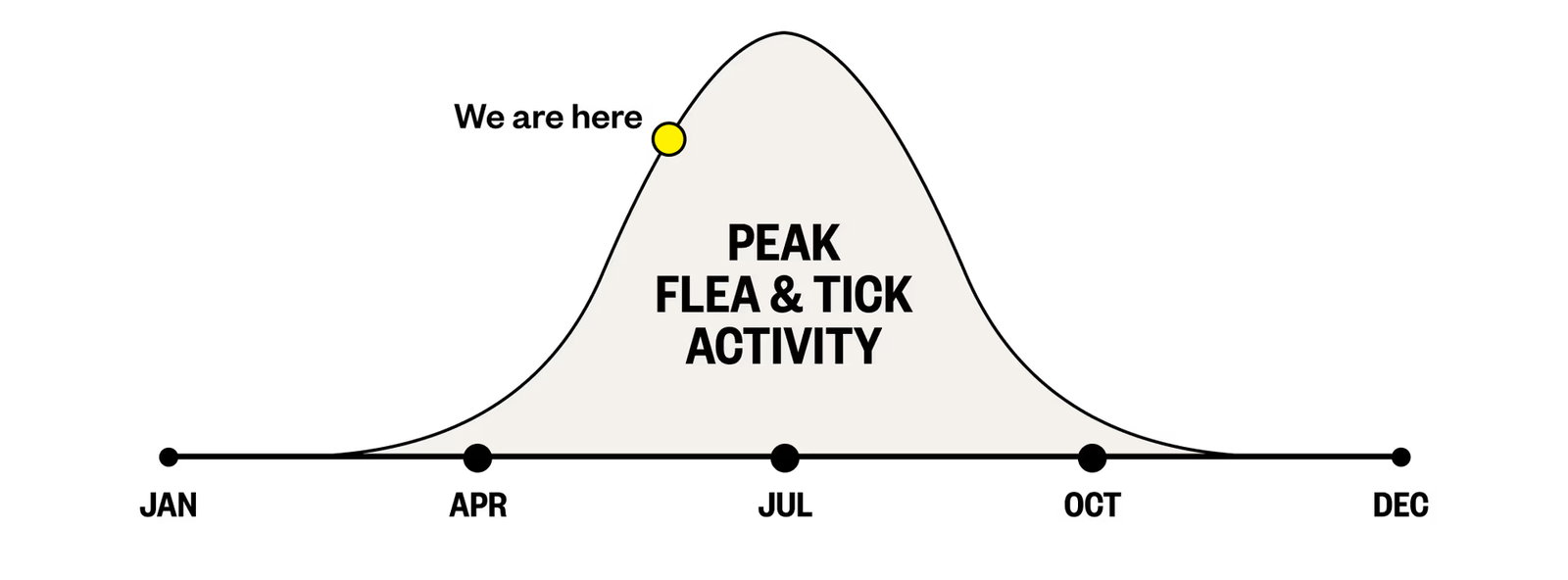 Peak flea and tick activity runs from spring through fall and peaks in July.