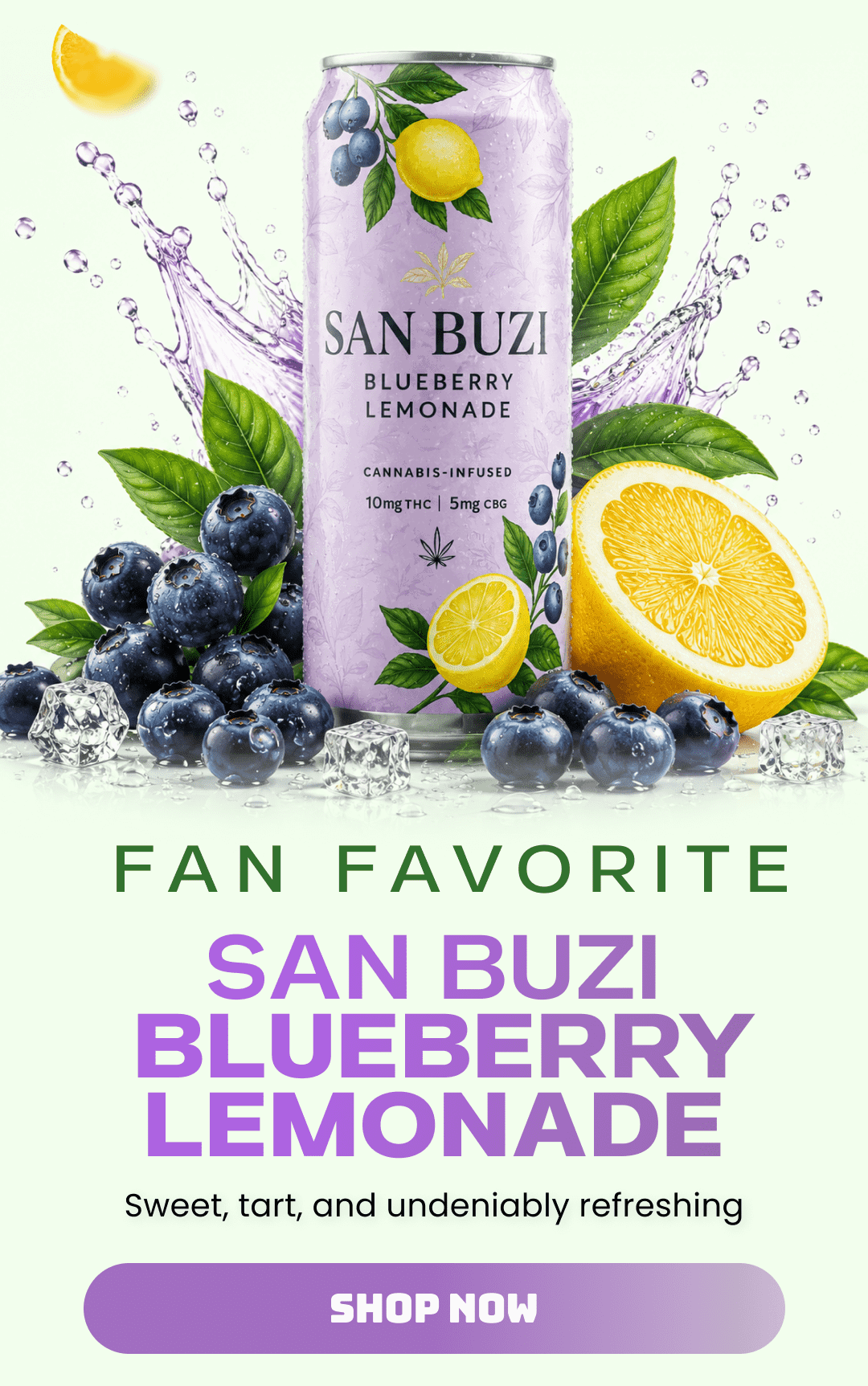 San Buzi Blueberry Lemonade