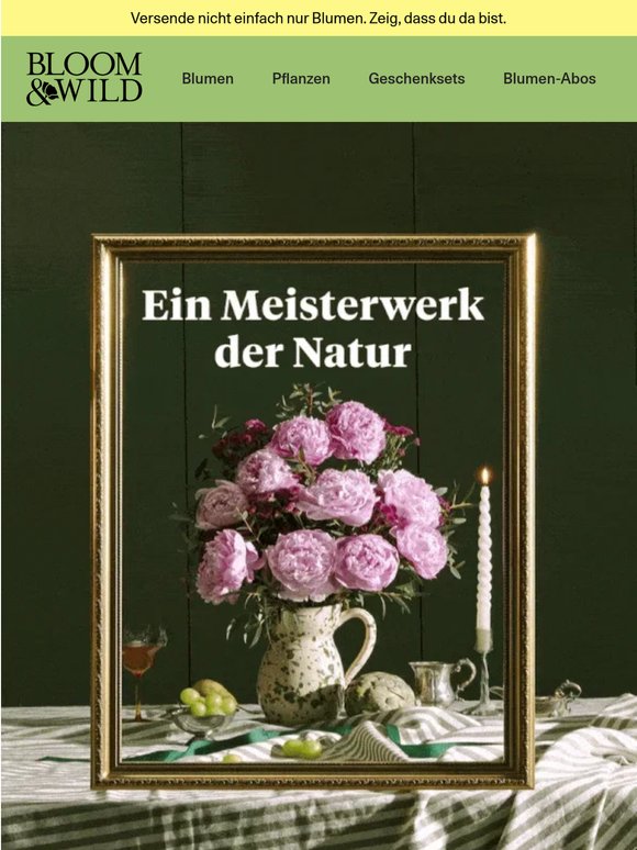 Die Schönheit in Rosa ist zurück! 🌸