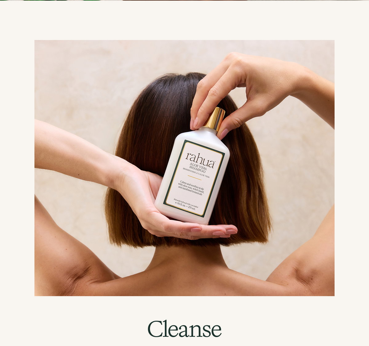 Cleanse