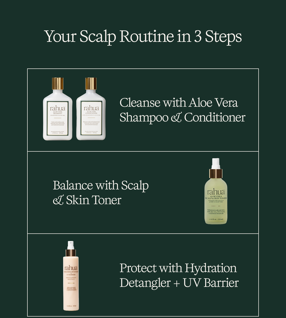 Your Scalp Routine in 3 Steps