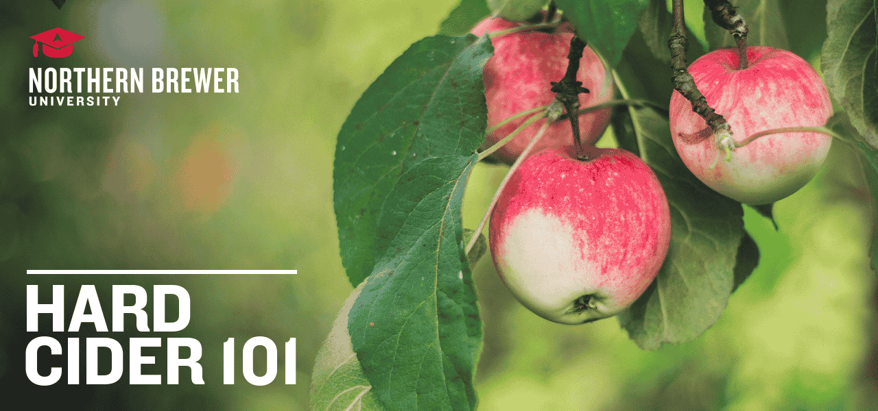 Northern Brewer University Hard Cider 101: How to Make Hard Cider at Home